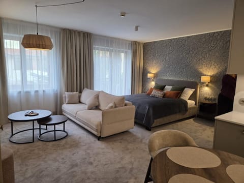 Bed, Living room, Photo of the whole room, Seating area, Bedroom