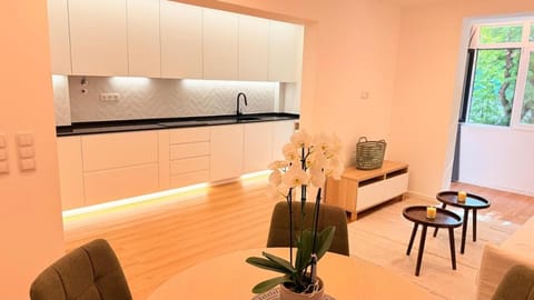 Kitchen or kitchenette, Living room, Seating area, Dining area, stove