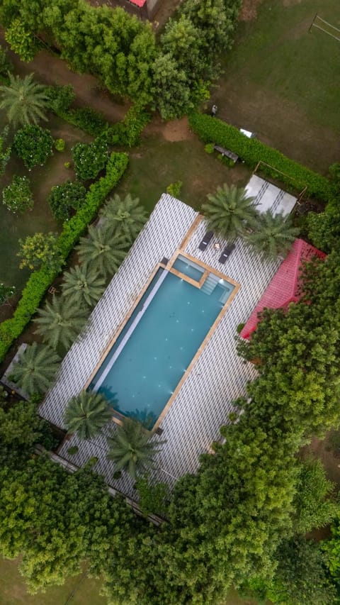 Bird's eye view, Pool view, Swimming pool