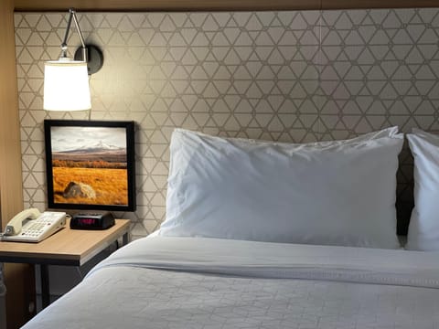 Holiday Inn Great Falls-Convention Center by IHG Hotel in Great Falls