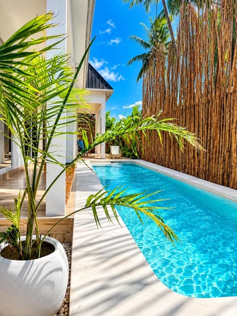 Garden, Swimming pool