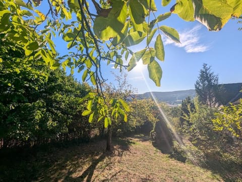 Garden, Garden, Garden view