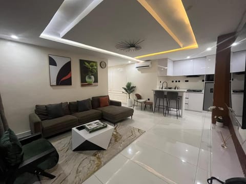 Kitchen or kitchenette, Living room, Seating area, Dining area, stove
