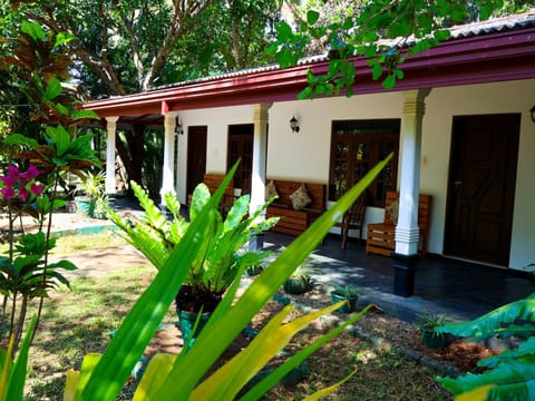 Property building, Garden, Garden view