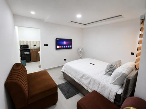 Bed, TV and multimedia, Kitchen or kitchenette, Living room, Photo of the whole room, Bedroom