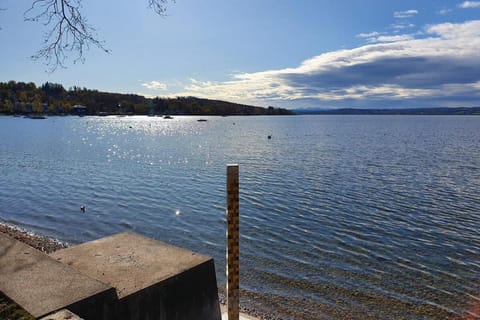 Lake view
