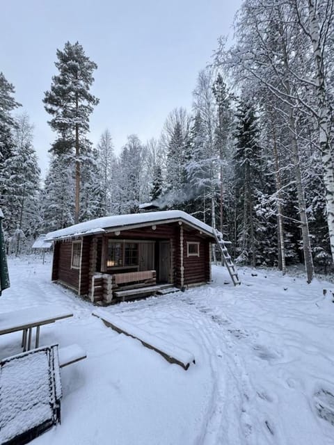 Natural landscape, Winter