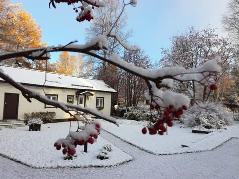 Property building, Day, Winter
