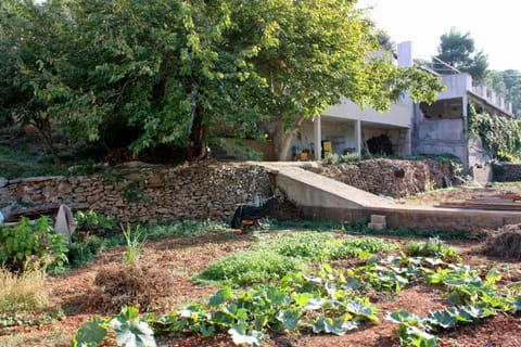 Location, children, Family