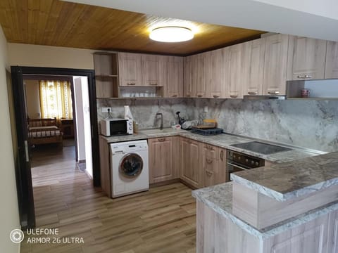 Kitchen or kitchenette, oven