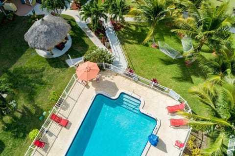 Bird's eye view, Swimming pool