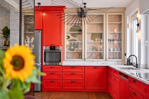 Kitchen or kitchenette, dishwasher, oven, stove