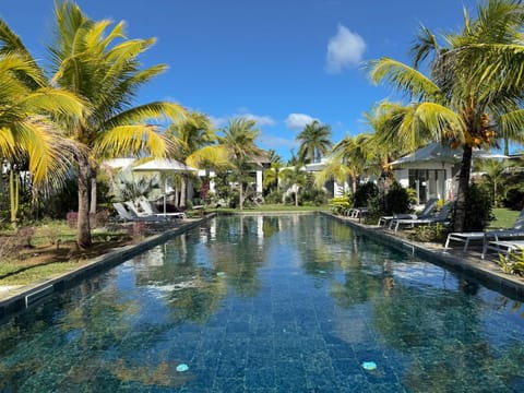 Garden, Garden view, Swimming pool