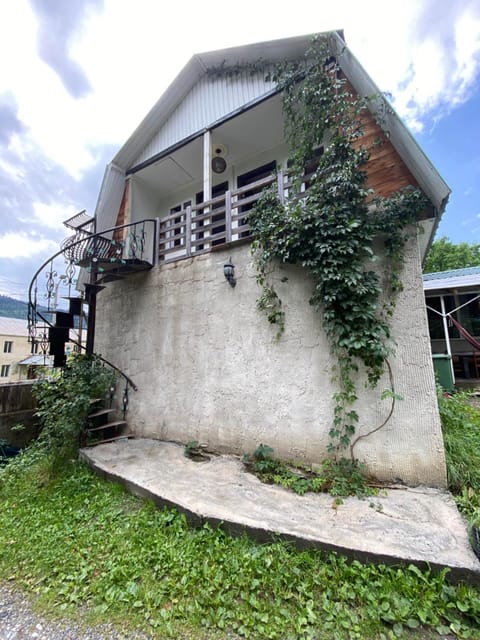 Property building, Day, Garden