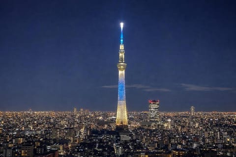 Landmark view
