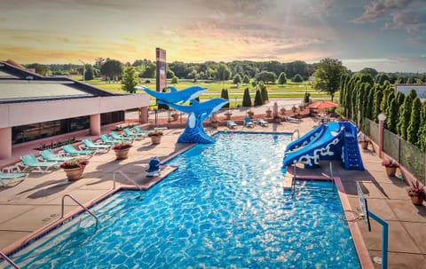 Day, Pool view, Swimming pool, sunbed