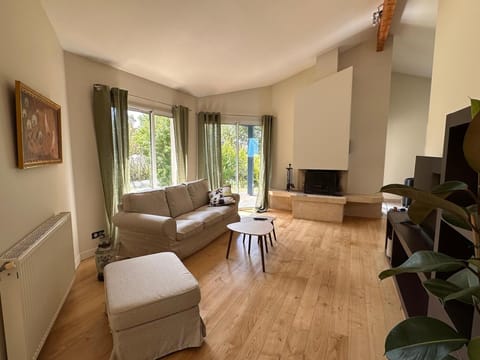 Living room, fireplace