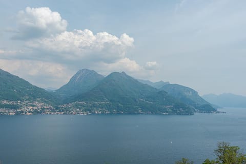 Lake view