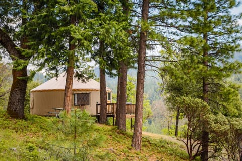 Yosemite Lakes Yurts Campground/ 
RV Resort in Tuolumne County