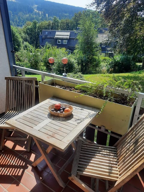 Balcony/Terrace, Mountain view