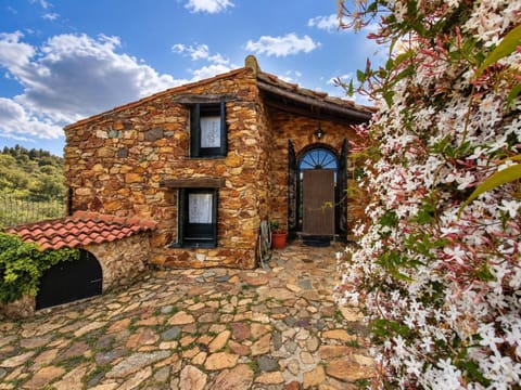 Property building, Spring, Garden, Garden view