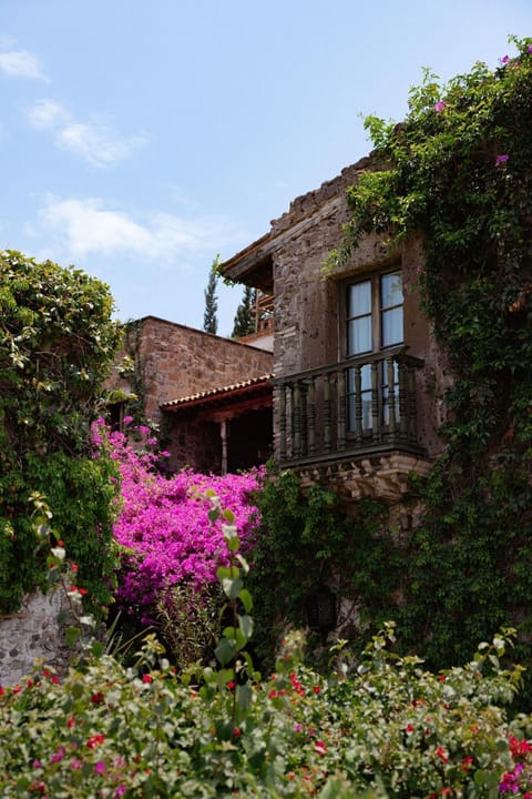 Property building, Garden view