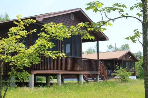 Property building, Day, Garden