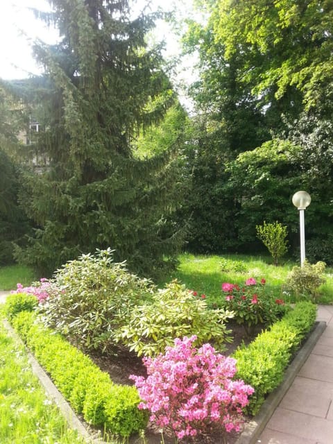 Garden, Balcony/Terrace, Garden view