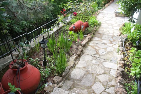 Garden, Decorative detail