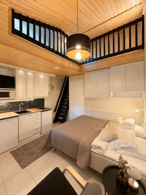 Bed, TV and multimedia, Kitchen or kitchenette, Photo of the whole room, Seating area, Bedroom, pet friendly, stove