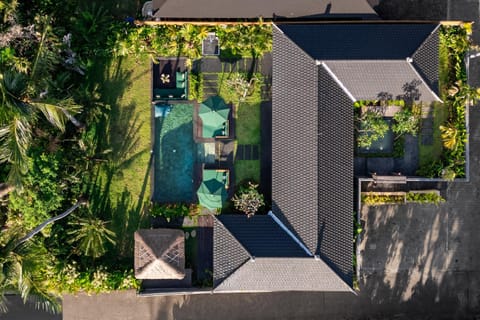 Property building, Natural landscape, Bird's eye view, Garden, Swimming pool