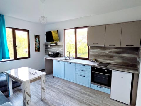 TV and multimedia, Kitchen or kitchenette, Dining area, minibar, oven, pet friendly, stove