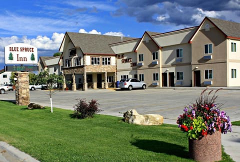 Property building, Summer