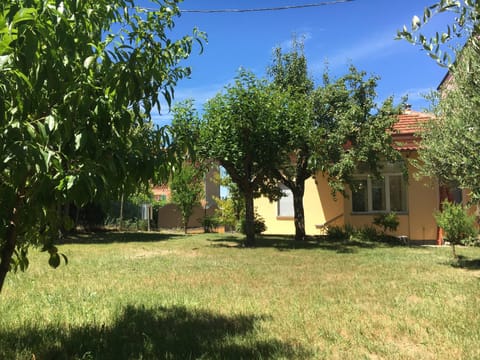 Property building, Spring, Day, Natural landscape, Garden