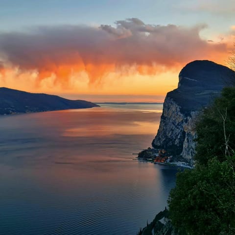 Natural landscape