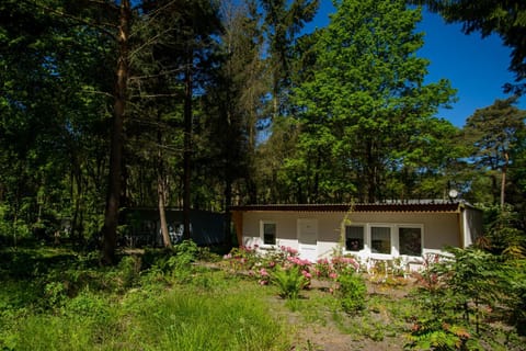 Feriendorf Min Herzing Apartment in Mecklenburg-Vorpommern, Germany