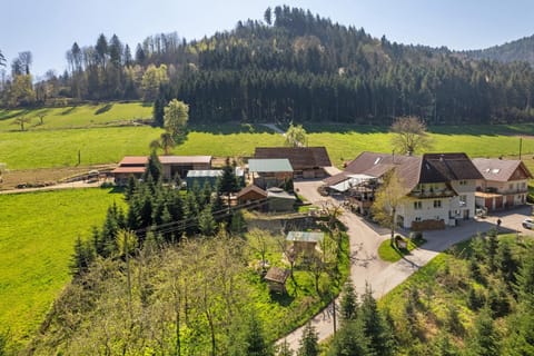 Müllerleile Hof House in Ortenau