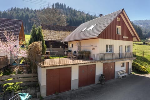 Müllerleile Hof House in Ortenau