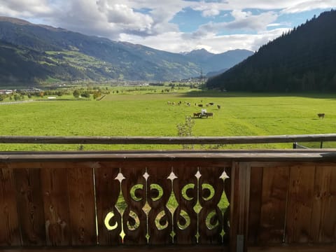 Böglerhof Apartment in Uderns