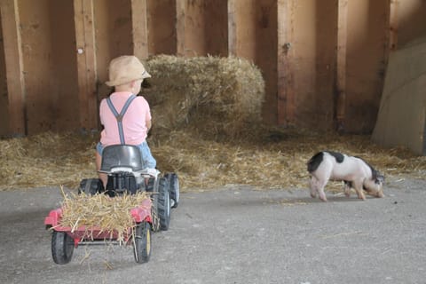 Böglerhof Apartment in Uderns