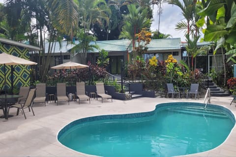 Pool view, Swimming pool, sunbed