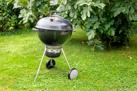 Ferienwohnung Walter Apartment in Ringsheim