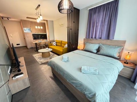 Bed, TV and multimedia, Kitchen or kitchenette, Seating area, Bedroom, towels, air conditioner