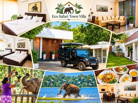 Communal lounge/ TV room, Day, Natural landscape, Evening entertainment, Animals, Text overlay
