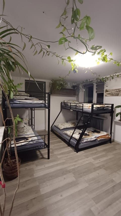 Bed, Photo of the whole room, bunk bed