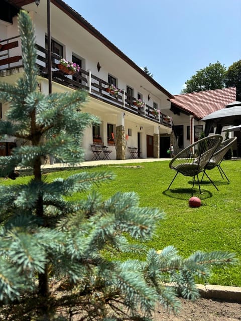 Property building, Spring, Day, Garden view