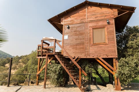 Off site
