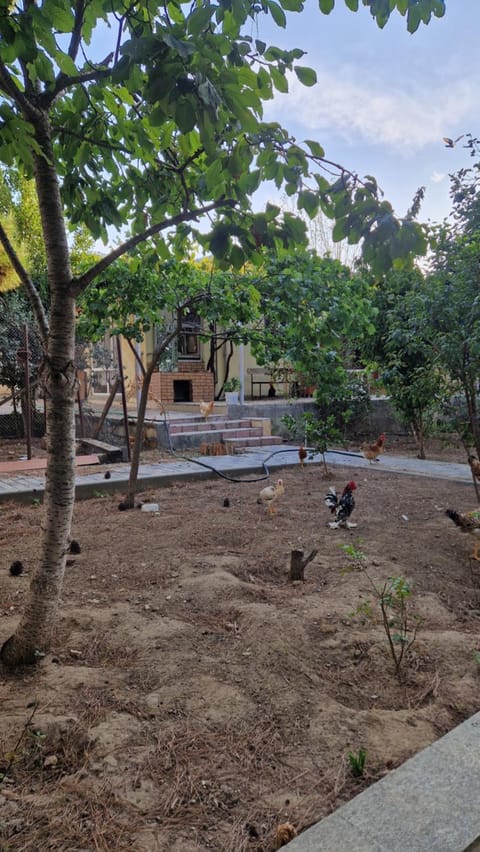 Garden, Garden view