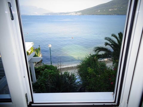 Apatments Stanojlovic Djenovic Apartment in Kotor Municipality