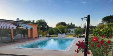 Spring, Day, Natural landscape, Garden, Garden view, Pool view, Swimming pool, sunbed